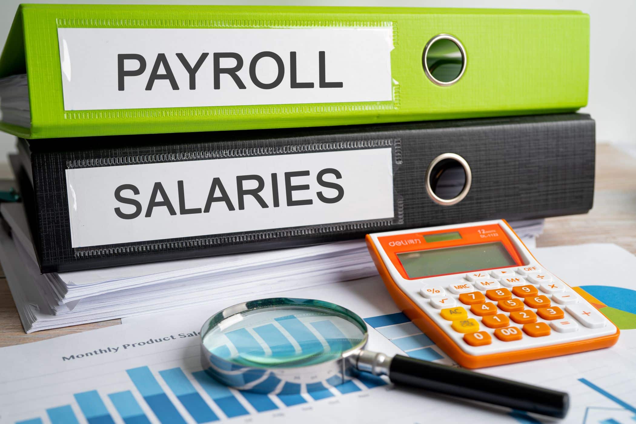 payroll-salaries-binder-data-finance-report-busi-2025-02-25-17-51-20-utc (1)